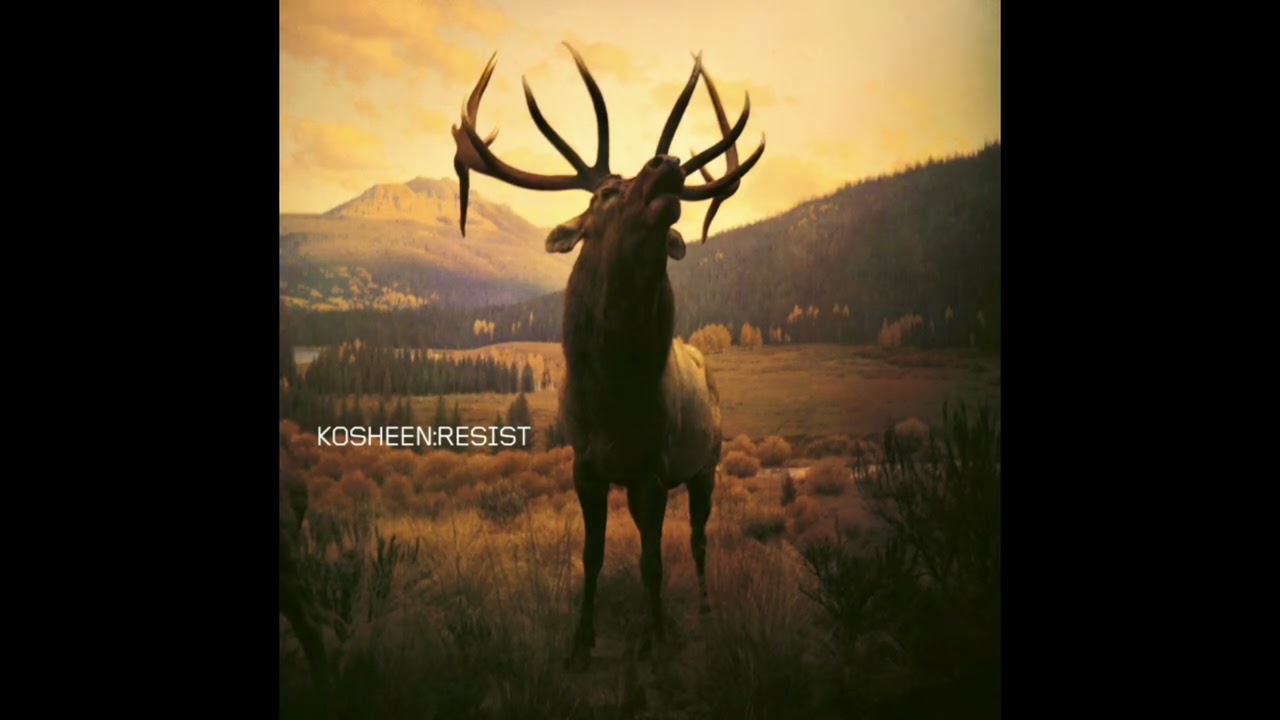 Kosheen - Catch (2021 Remaster)