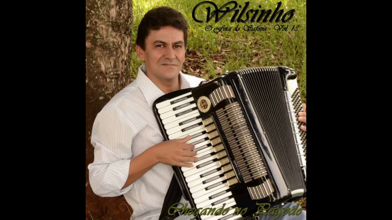 Rancho de capim - Wilsinho o Fera da Sanfona