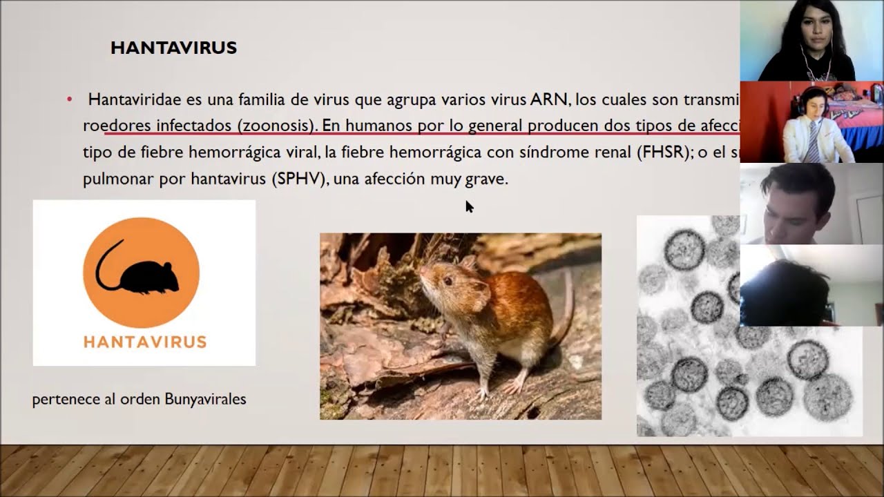 Hantavirus