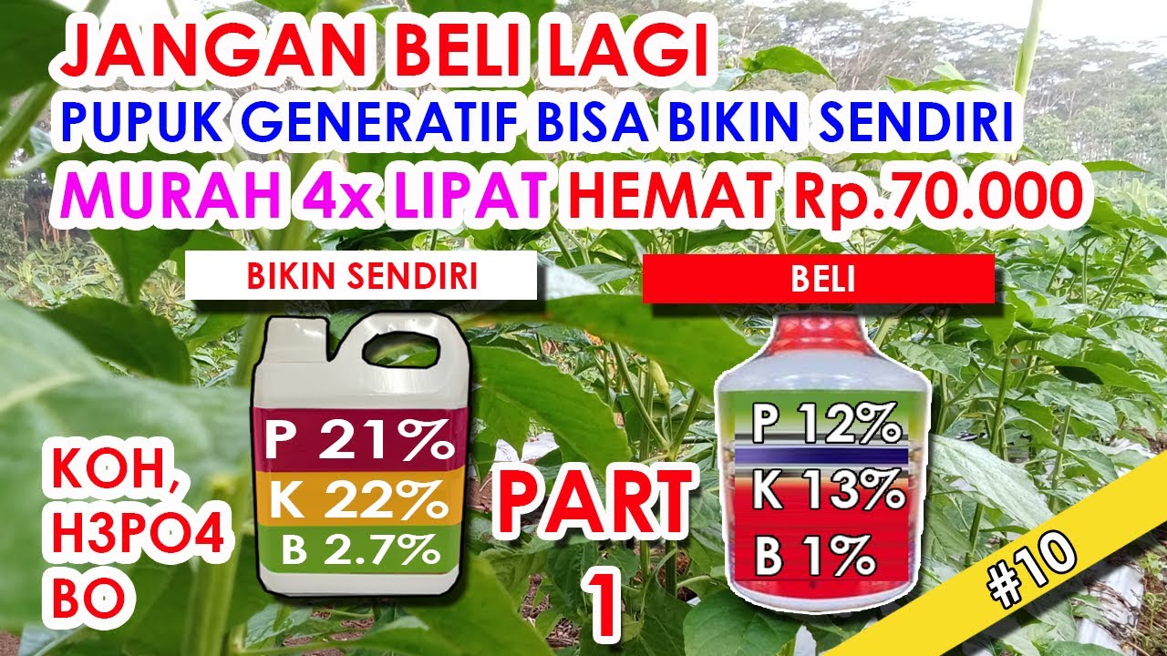 #10 PART I - Bikin Sendiri Pupuk Generatif Lebih Hemat 4x Lipat, Rp.70.000 Sisa Buat Jajan Anak Aja