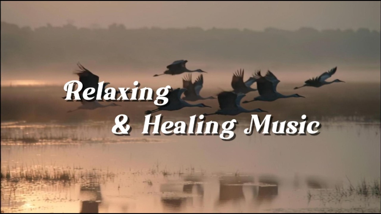 Relaxing Music for Sleep & Focus | Calm Your Mind, Study with Birds