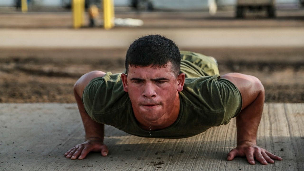 how many pushups should you do a day