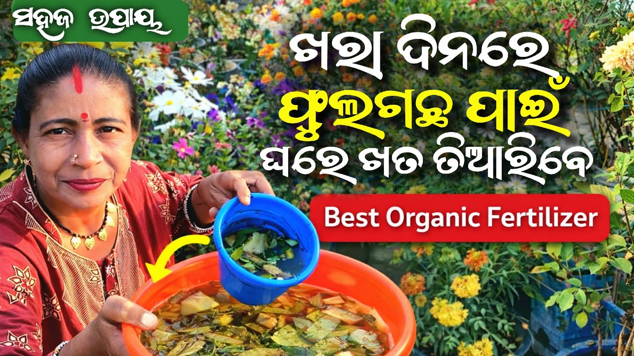 ଖରା ଦିନ ଆସିବା ପୂର୍ବରୁ ଫୁଲ ଗଛ ପାଇଁ ଏହି ପରି ଖତ ପ୍ରସ୍ତୁତ କରନ୍ତୁ | Best Organic Fertilizer