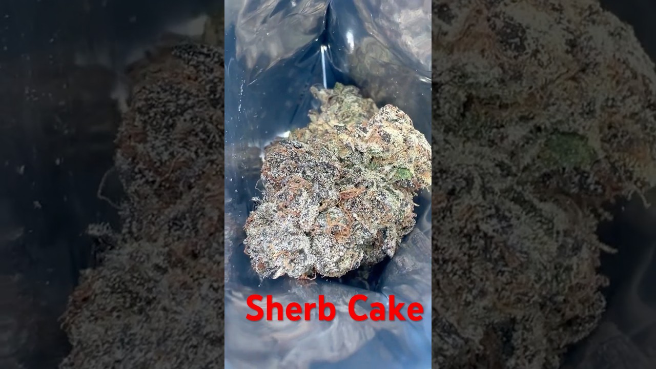 Sherb cake strain review