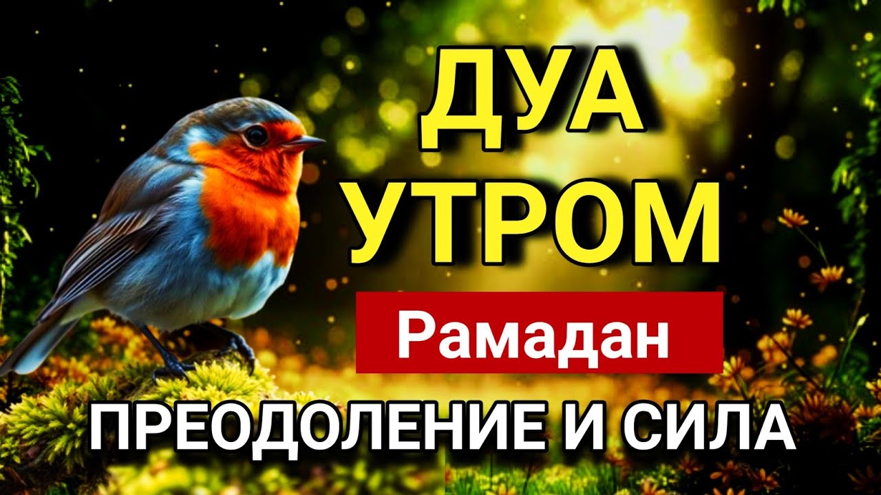 💖 ДУА УТРОМ Рамадан САМЫЙ МОЩНЫЙ СТАРТ ДНЯ! 🤲🌟💯