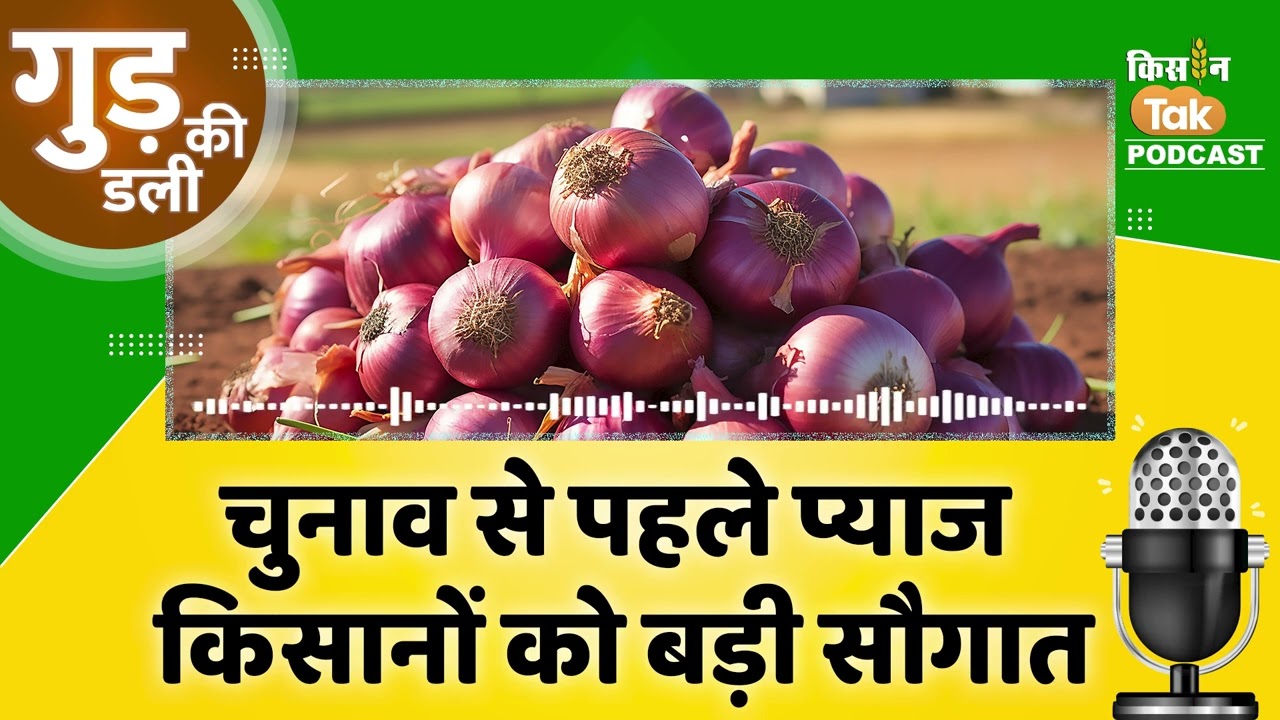 Podcast: Onion Rice News: Modi Govt का बड़ा फैसला, चुनाव से प्याज, चावल पर Export Duty घटाई
