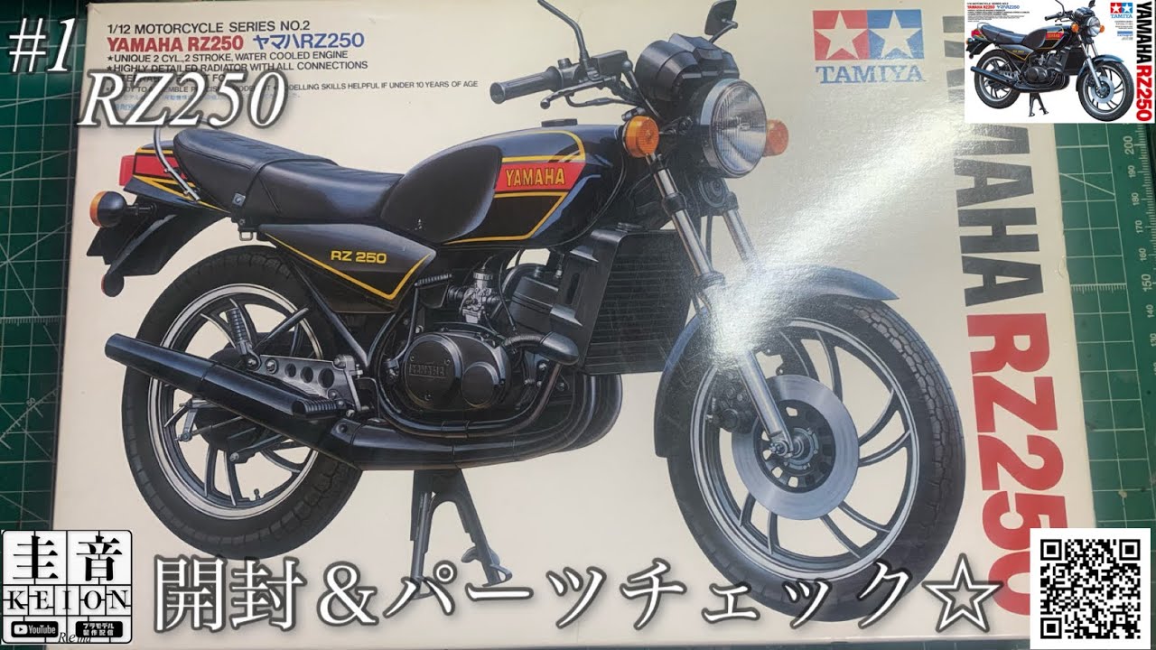【タミヤ RZ250】開封＆パーツチェック☆ちょっとレアキット？【プラモデル】