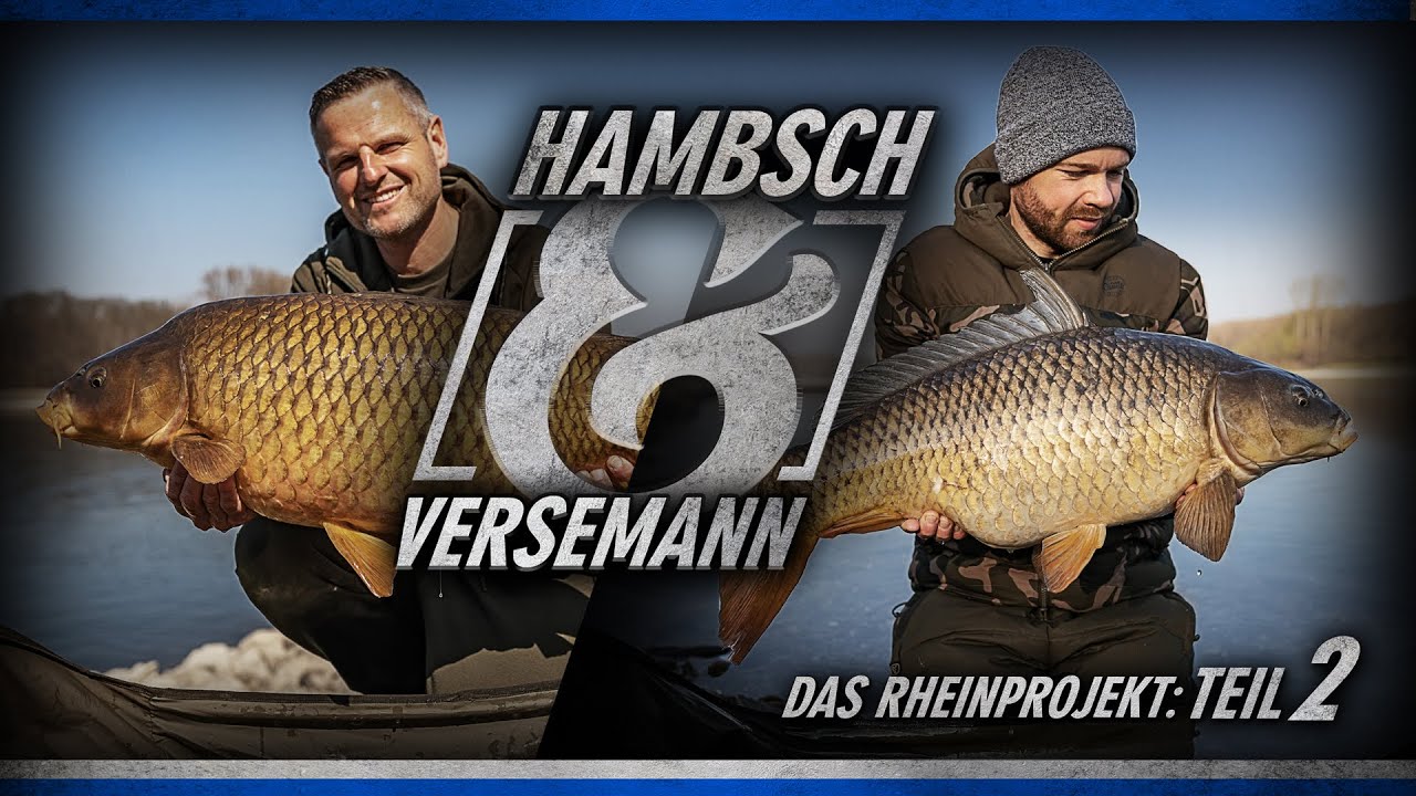 Hambsch & Versemann - Das Rheinprojekt Teil 2 (Karpfenangeln)
