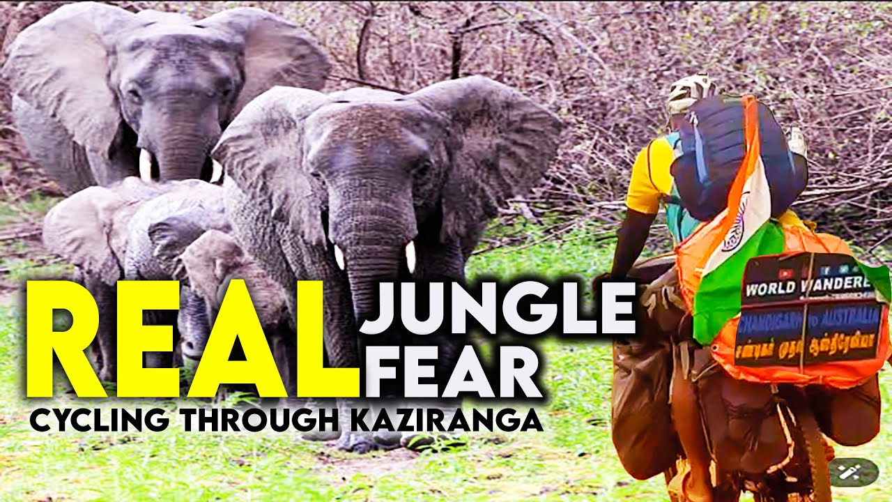 Cycling Through Kaziranga – What Happened Was Unreal!