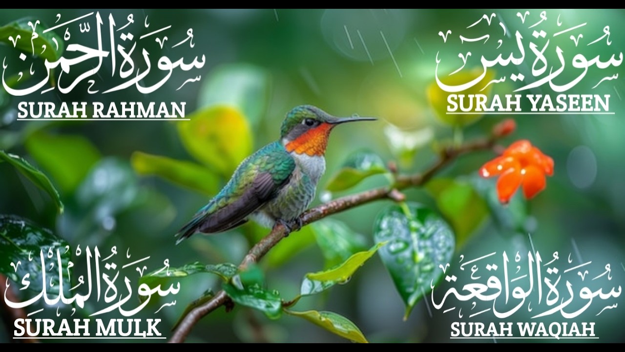 This wonderful voice will Touch Your HEART Surah Yaseen 🧡 Surah Rahman 🧡Surah Waqiah🧡Mulk Episode389