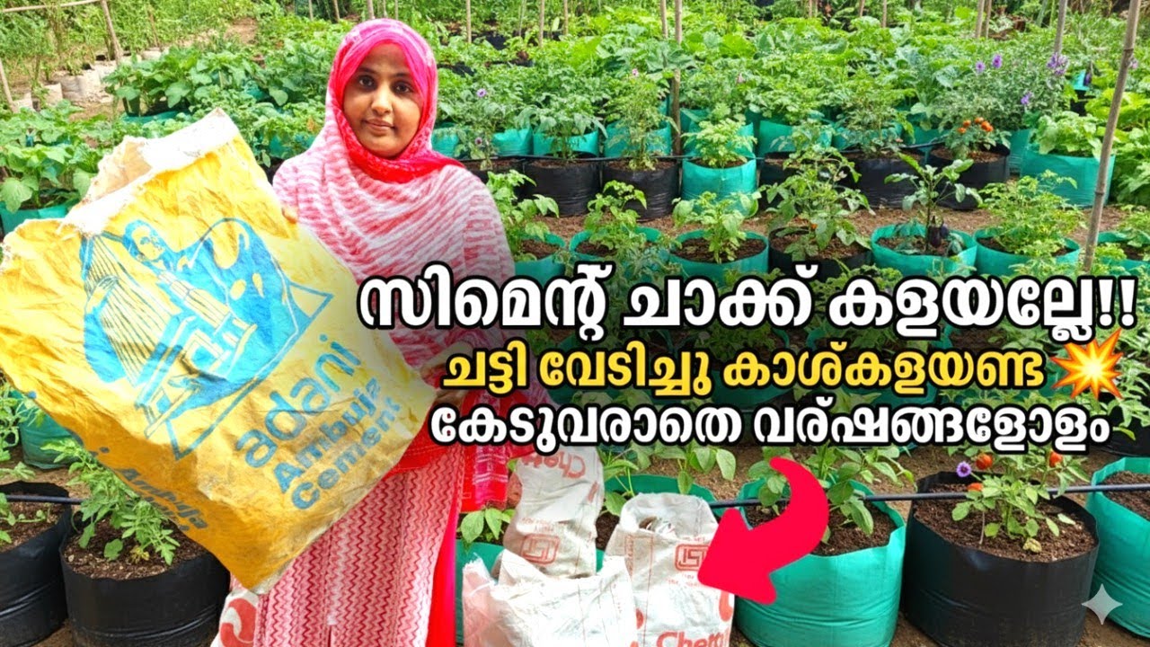 💯%വിജയസൂത്രം!വർഷങ്ങളോളം ഈടുനിൽക്കും സിമെന്റ് ചാക്ക്കൊണ്ട് ഗ്രോബാക്ക് ||zerocostgrowbagmaking