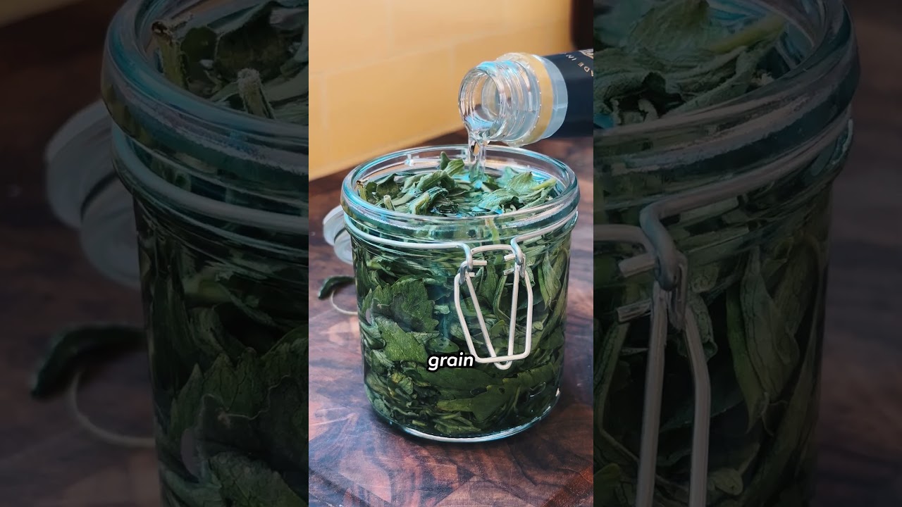 How To Make A Homemade Sweetener (Stevia Tincture) #tincturemaking #tincture #stevia