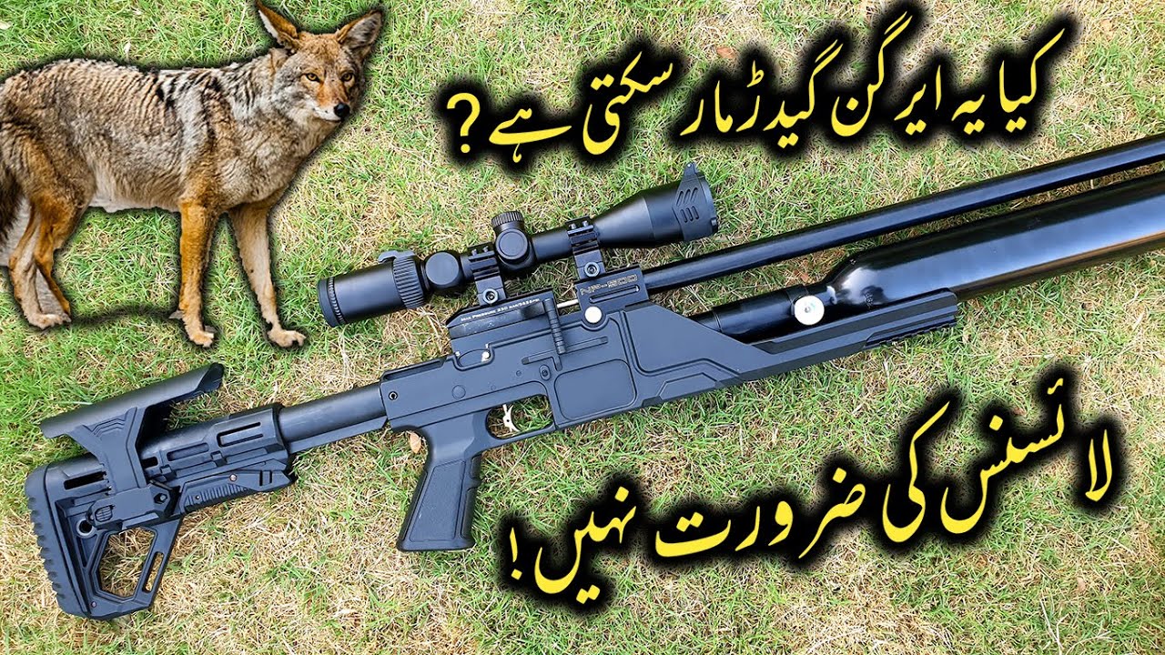 Kiya ? Yeh Airgun Geedar Mar Skti hy ? Review (2022)