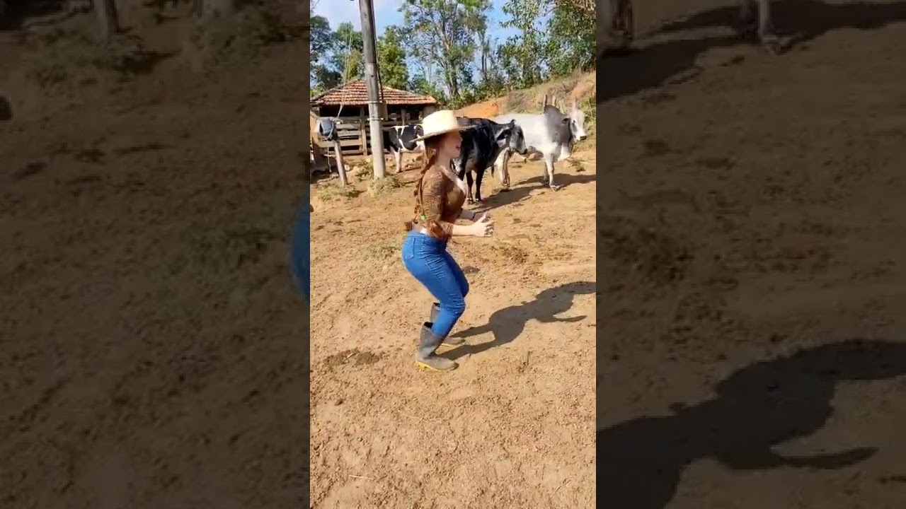 o Nelore pegou a ruiva da ro&ccedil;a kkk #shorts #aruivadaro&ccedil;a #com&eacute;dia #ro&ccedil;a