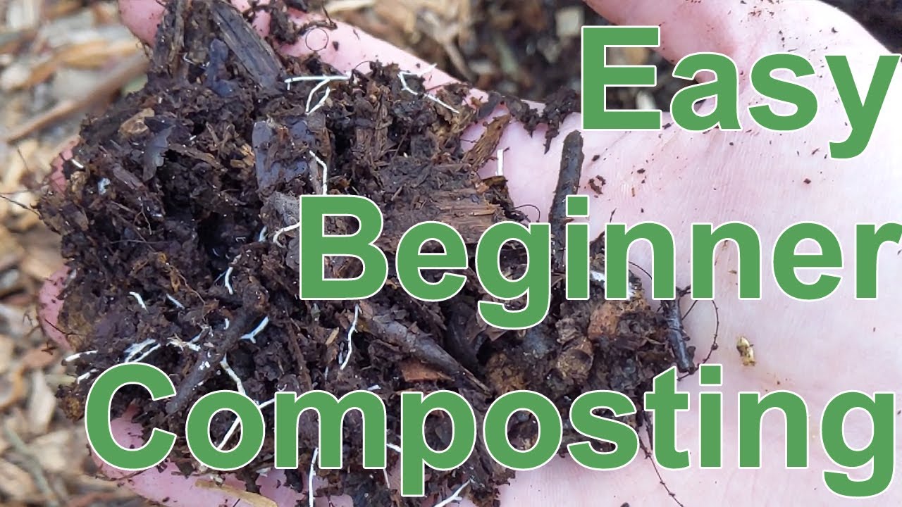 The Easiest Way For Beginners To Get Started Composting With No Bin & No Equipment