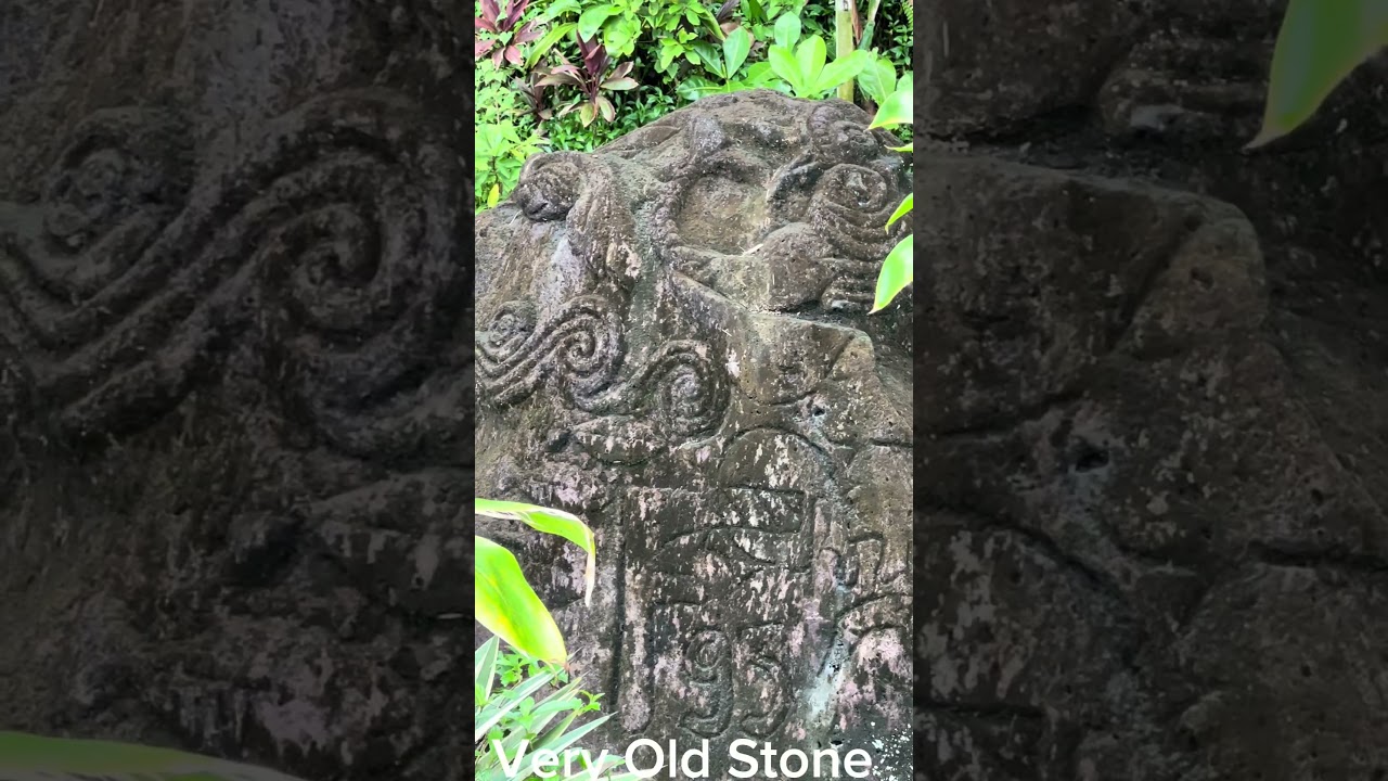 1000 Year