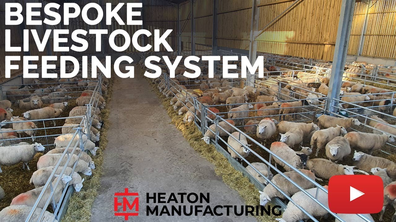 Bespoke Livestock Feeding System | Heaton Manufacturing & Agricultural Fabrication