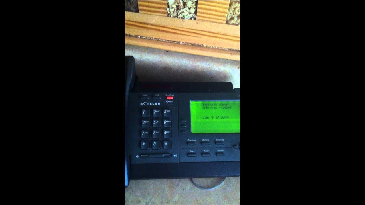 TELEMARKETERS WORST NIGHTMARE!