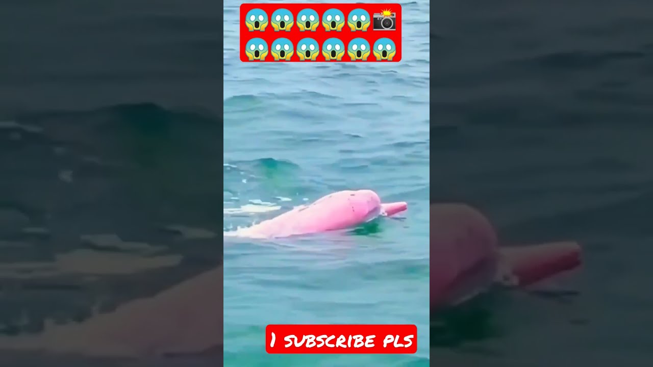 Allah hu Akbar 😱😱 #shorts #youtubeshorts  #allahuakbar #allah #jummamubarak