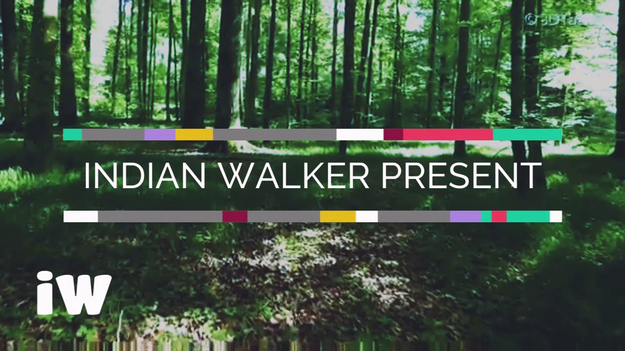 PASSIONATE 2 PROMO | MADE FOR FAN REQUEST| INDIAN WALKER