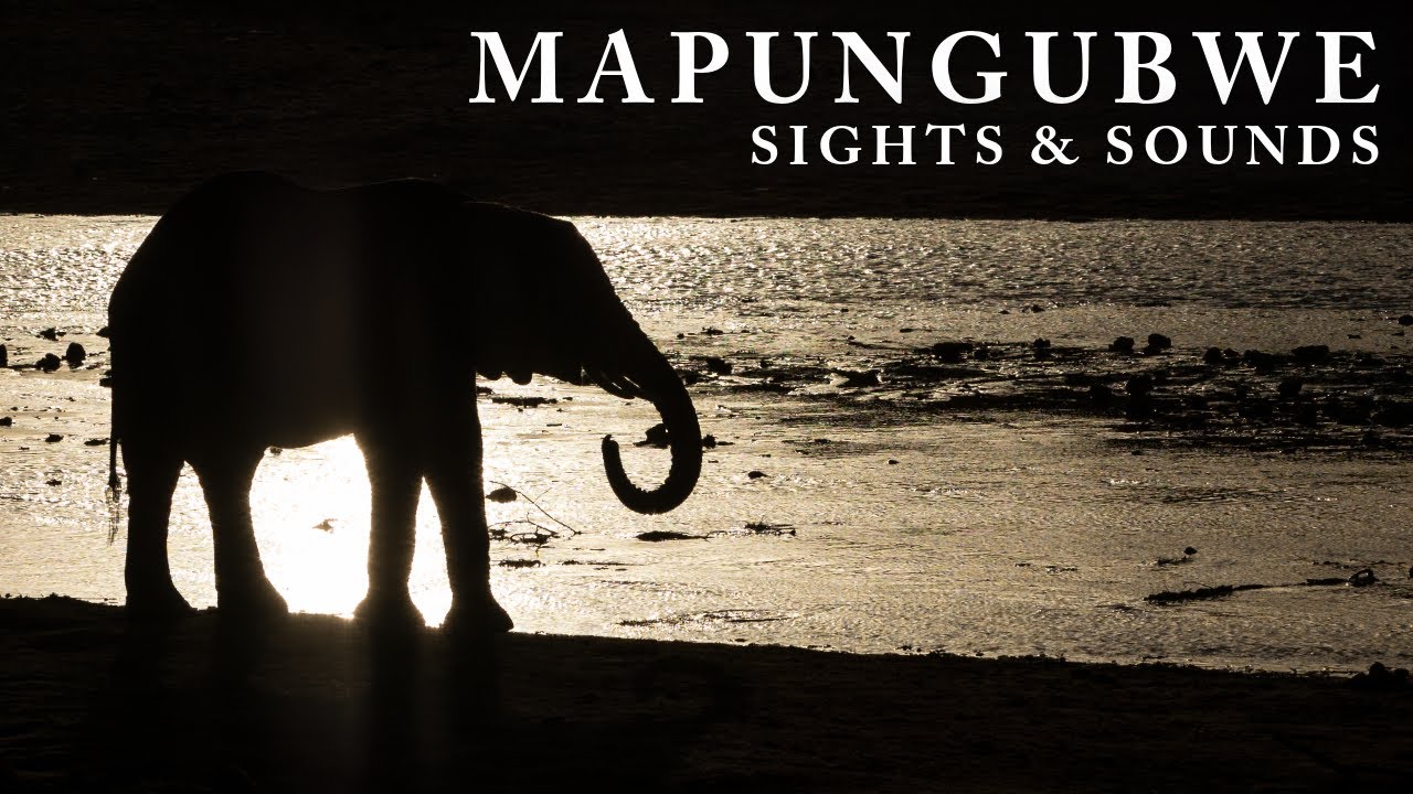 Nature Therapy: Mapungubwe National Park in Winter (4K)