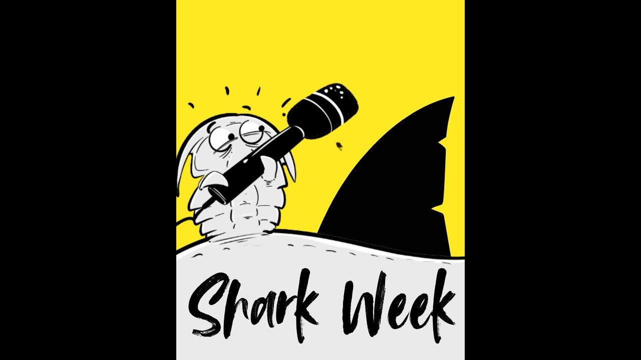 Shark Week interview with Ben Francishelli