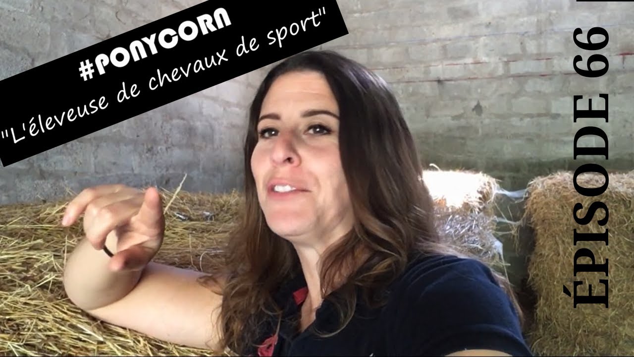 Série #ponycorn 🐴| L’ÉLEVEUSE de CHEVAUX de SPORT (Épisode 66)