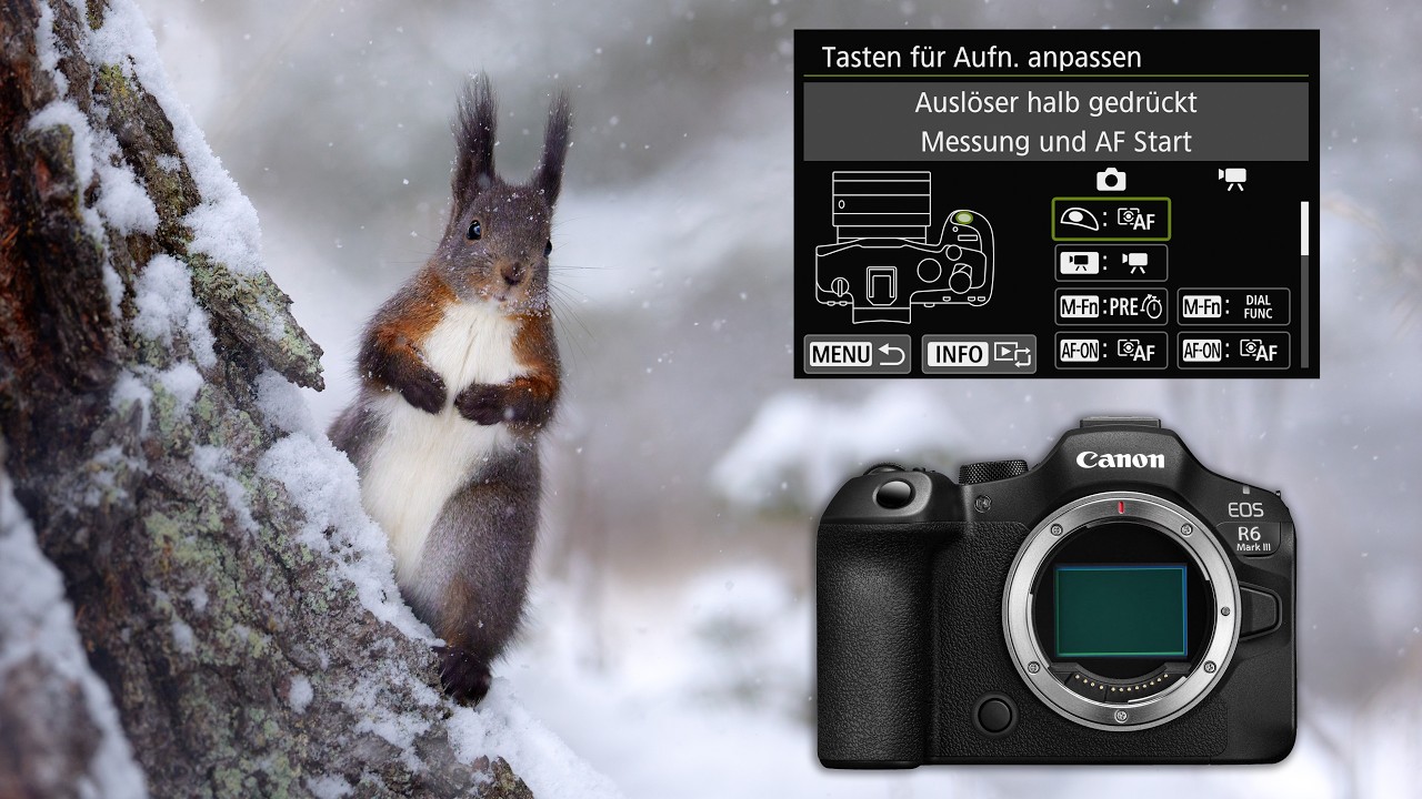 Canon R6 III - Die 15 wichtigsten Einstellungen für die Tierfotografie