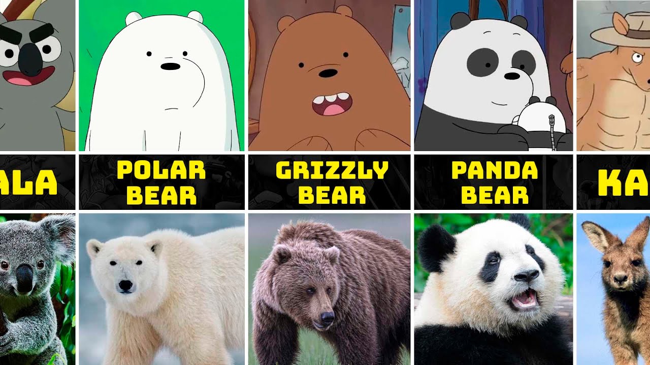 We Bare Bears Characters in Real Life