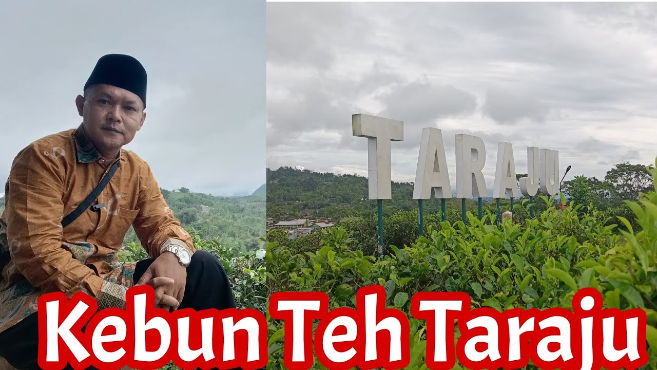 Kebun Teh Taraju | Wisata Taraju Tasikmalaya | Wisata Alam Viral | Kebun teh ACD Taraju | Kebun Unik