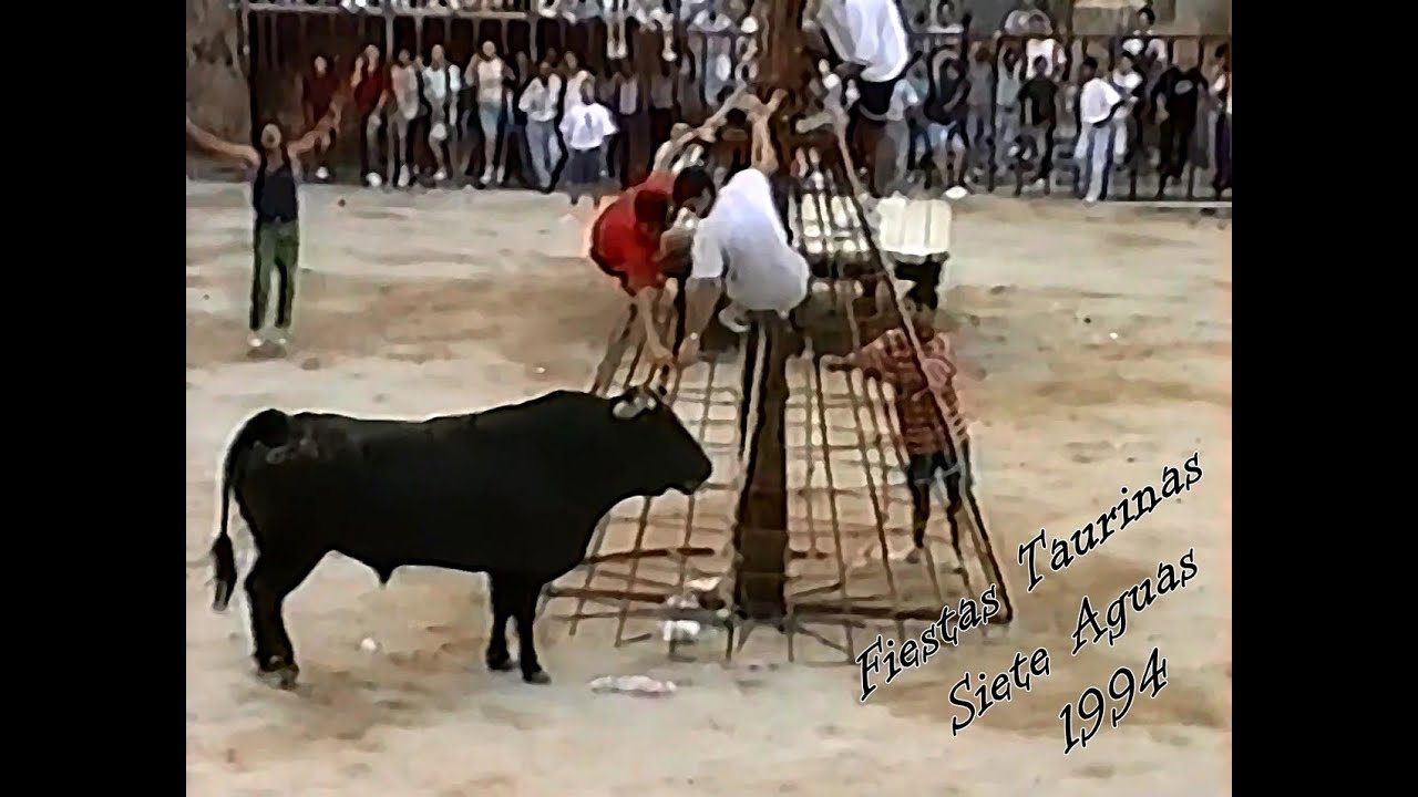 Fiestas Taurinas Siete Aguas 1994