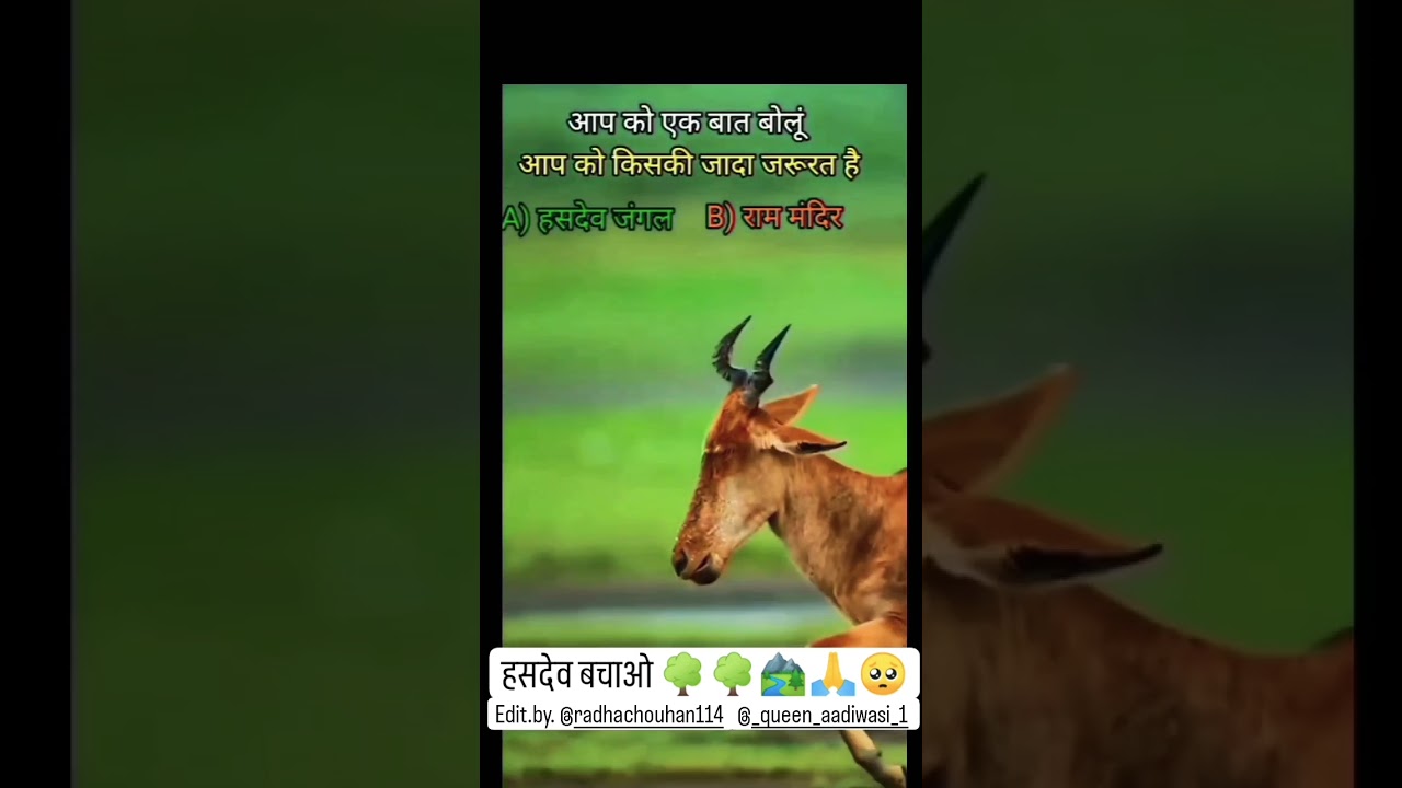 #trendingshorts #adivasi #adiwasidance#trendingvideo #tiger #jaiadiwasi#adivasisong #song#love#duet