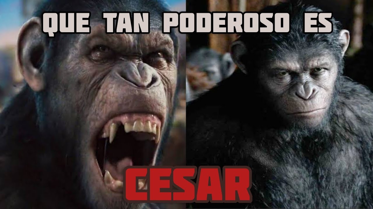 Que tan poderoso es César? (Planeta de los simios)(Para 2 torneos)