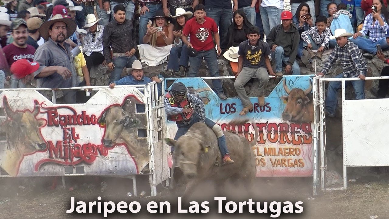 Jaripeo en el corral de Las Tortugas