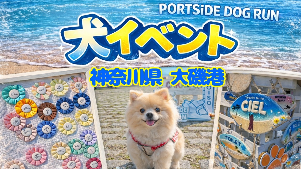 【犬イベント】【絶景】目の前は海！大磯港で開催の「PORT SiDE DOG RUN」が開放感バツグンすぎた