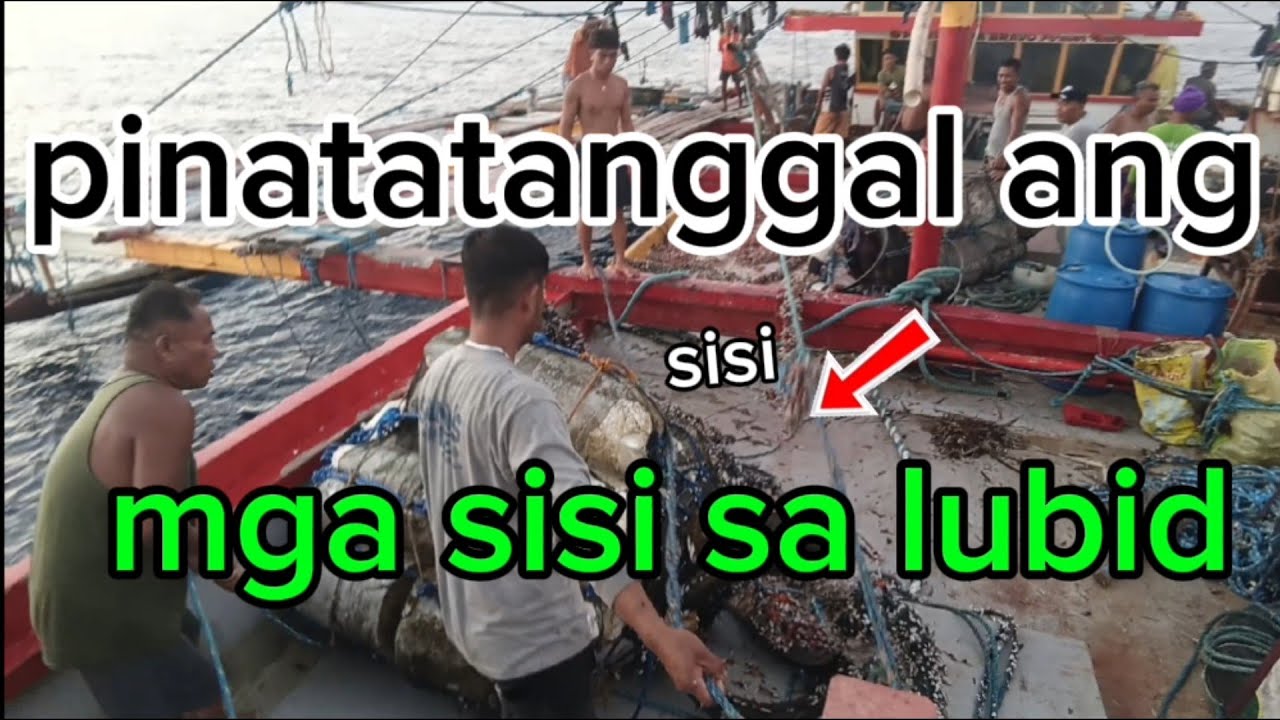 Kasing laki ng braso ng tao Ang lubid dahil sa Dami ng sisi