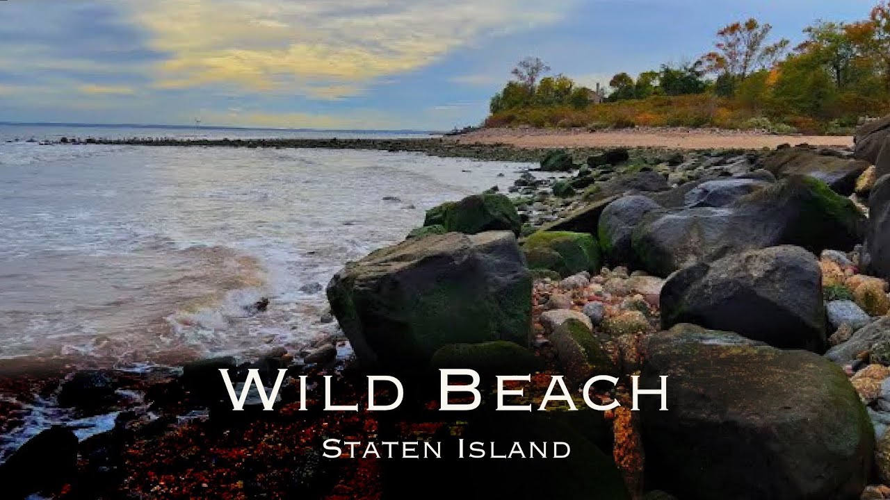 Walking around wild beach in cloudy weather before sunset | Staten Island | 4K ocean sounds
