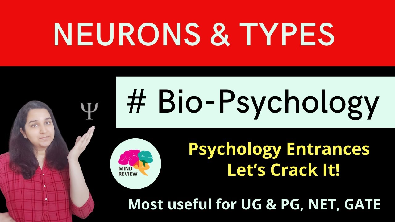 Neurons and Types| Bio-Psychology| Psychology Entrances| Mind Review