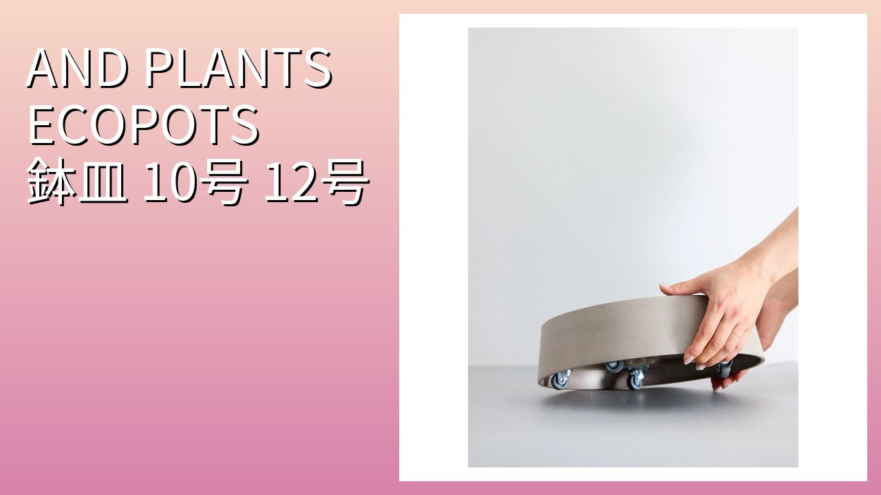 レビュー (2025): AND PLANTS ECOPOTS 鉢皿 10号 12号。まとめ
