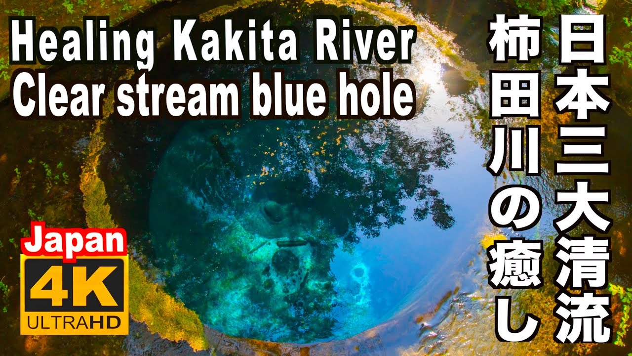 4K 神秘のブルー 柿田川 日本三大清流 Healing Clear stream blue hole Kakida River 三島観光 静岡観光 リラクゼーション 富士山の湧水 名水百選