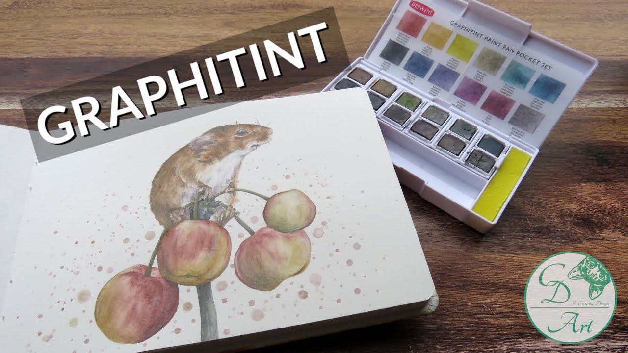 Trying out the New GRAPHITINT Pan Set