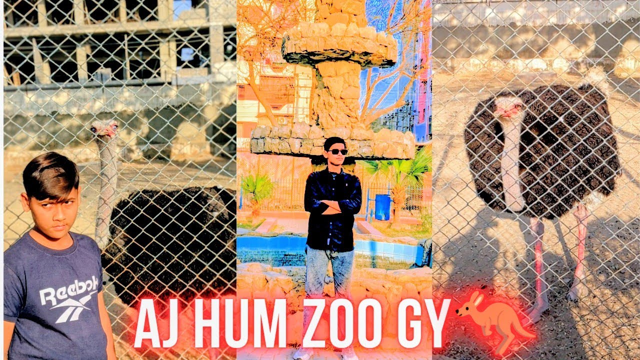 Aj Me Apne Chotey Bhai k Sath Zoo Gaya 🦖🦘🐯 full Enjoy 😃😁