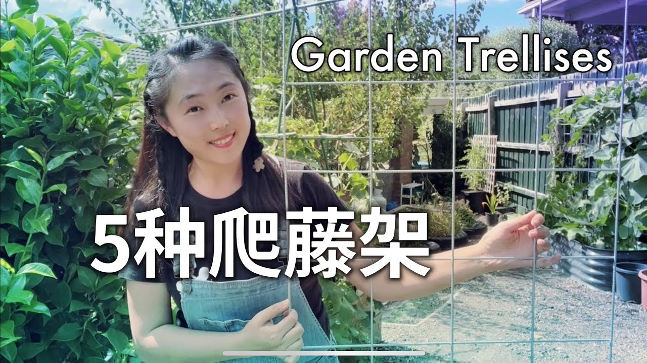 【种植67】2022年搭的5种爬藤架（蔬菜架子、瓜架、豆角架）5 Kinds of garden trellises, easy to build