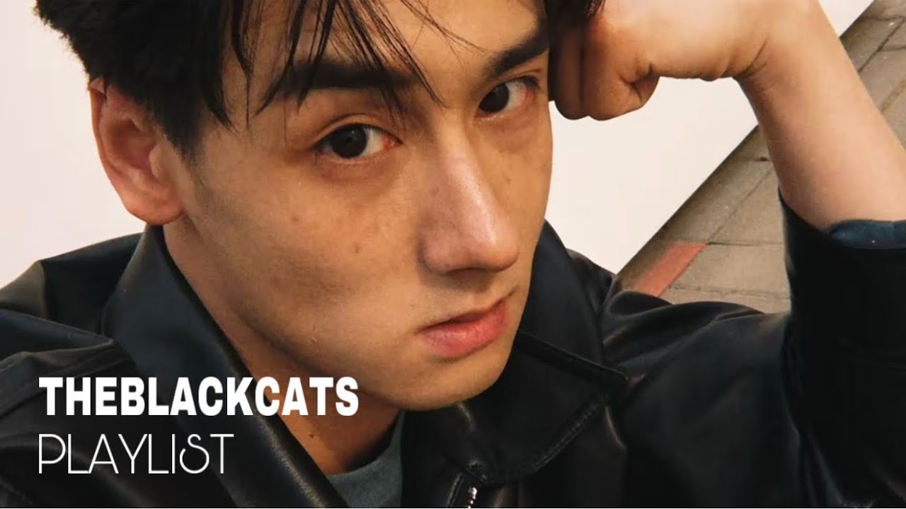 Lei Hao Xiang 雷皓翔 Thumbnail for Playlist