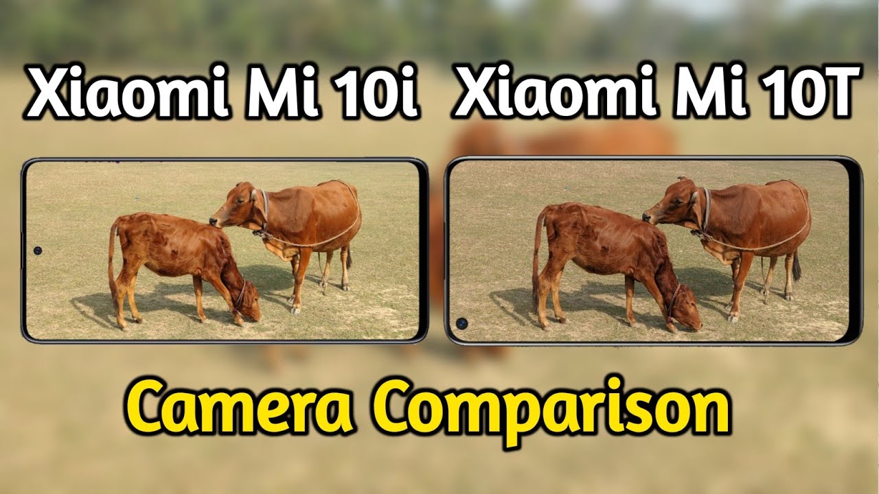 Xiaomi Mi 10i VS Xiaomi Mi 10T Camera Comparison,Xiaomi Mi 10i Review Hindi,Camera Review