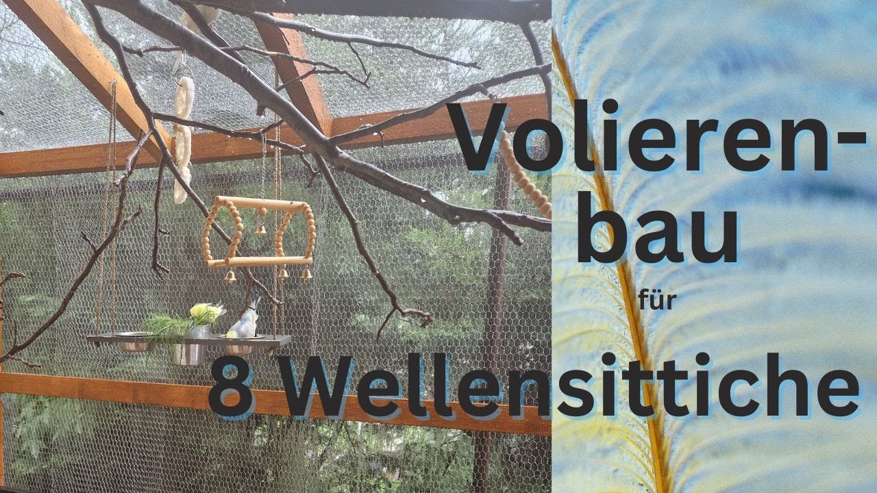Volierenbau für 8 Wellensittiche - Entstehungsprozess