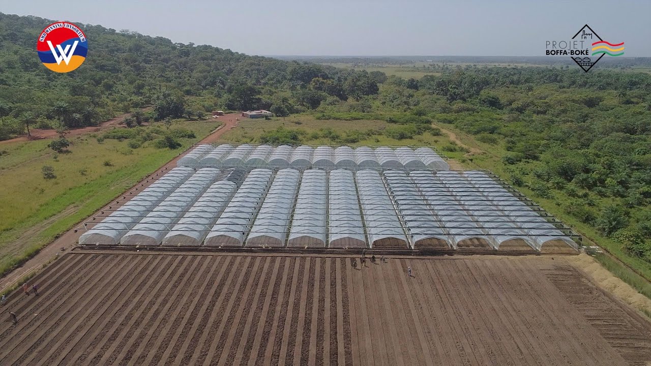 Consortium SMB-Winning: Le développement des serres agricoles