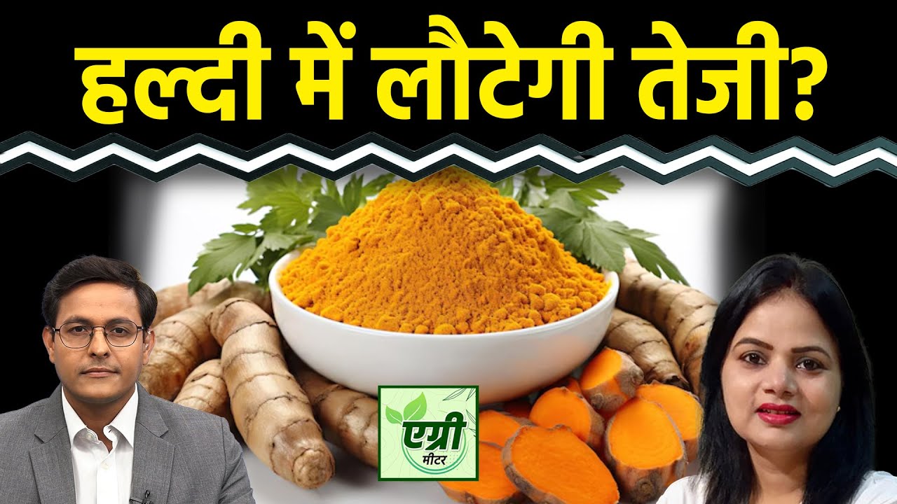 Commodity Market : NCDEX पर हल्दी में खरीदारी करें या बिकवाली? Trading | Turmeric Price