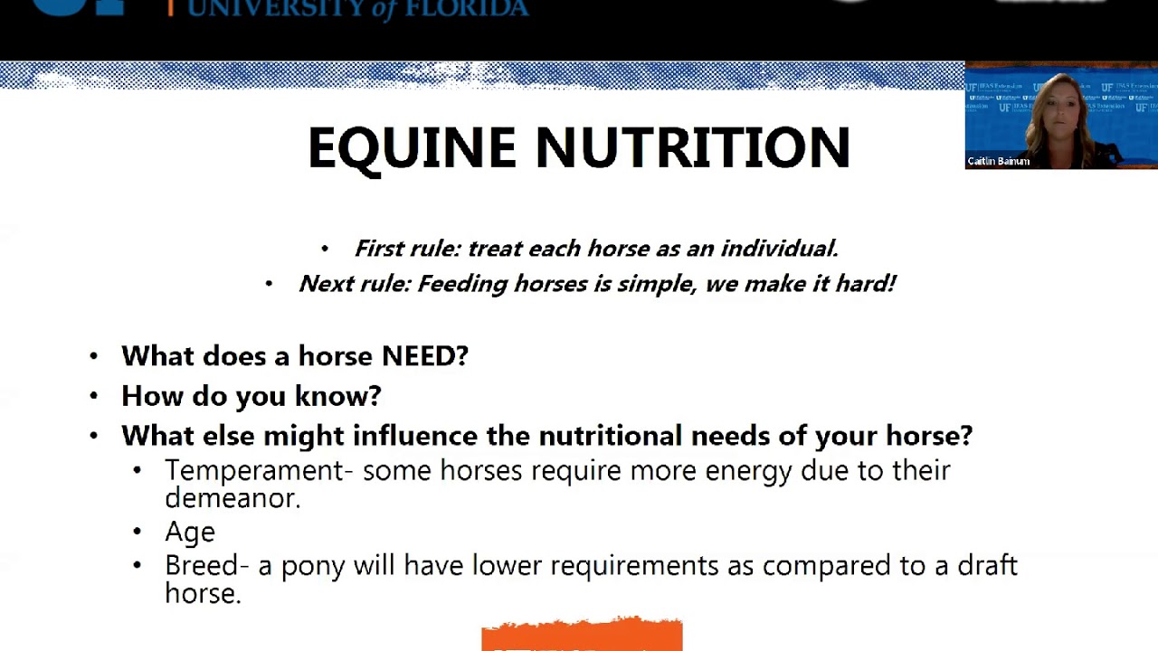 Living on a Few Acres: Equine Management