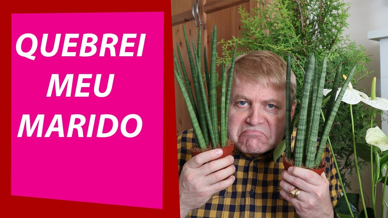 GASTEI 30 MIL EM PLANTAS VS FENG SHUI | JOANNA MARIA, A CAPIXABA NA ISL&Acirc;NDIA